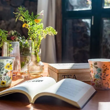 Casa Entre Vinedos En Masdache Tías